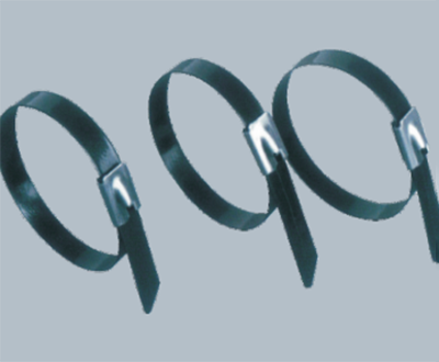 Plastic sprayed stainless steel cable tie
